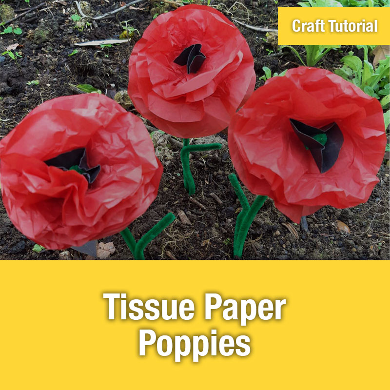 ETG Craft Tutorial | Tissue Paper Poppies