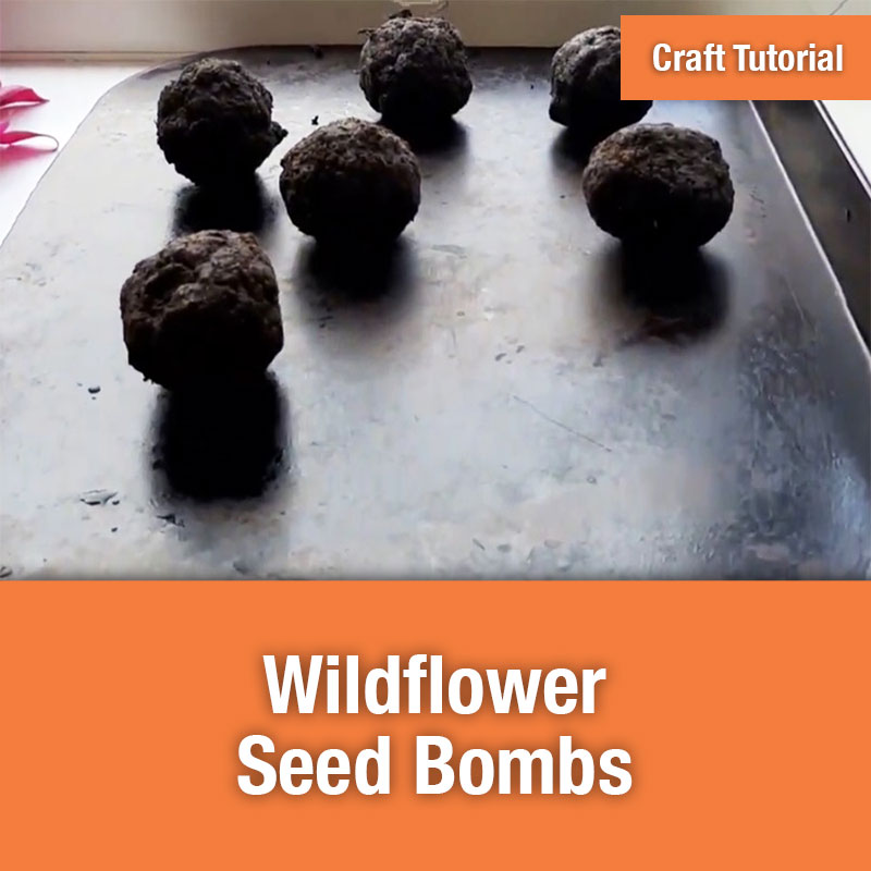 ETG Craft Tutorial | Wildflower Seed Bombs