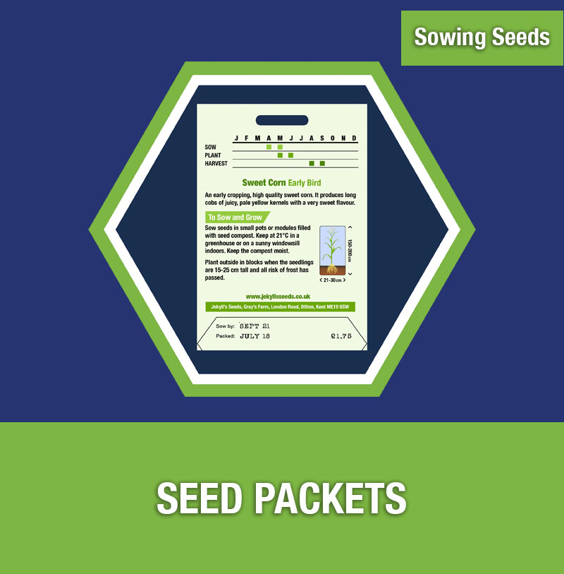 Sowing Seeds: Seed Packets