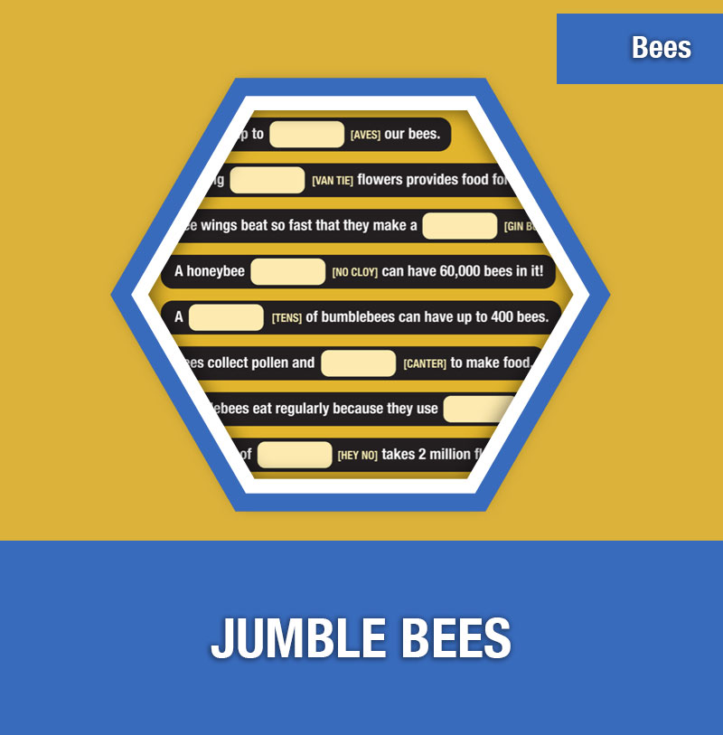 BEE-1B Jumble Bees | Image Preview