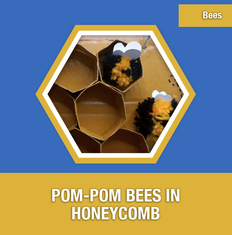 BEE-3D Pom-pom Bees in Honeycomb | Image Preview