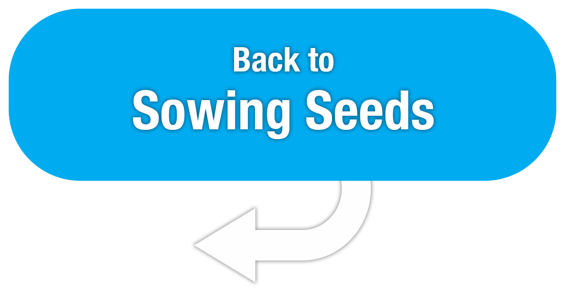 Back to Sowing Seeds