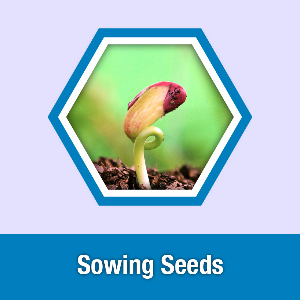 ETG Lesson 1: Sowing Seeds