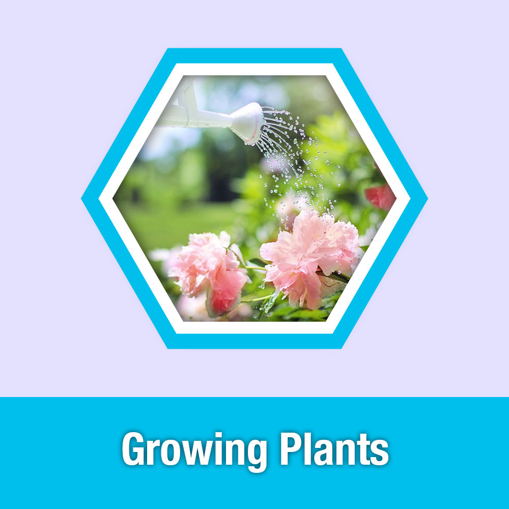 ETG Lesson 2: Growing Plants