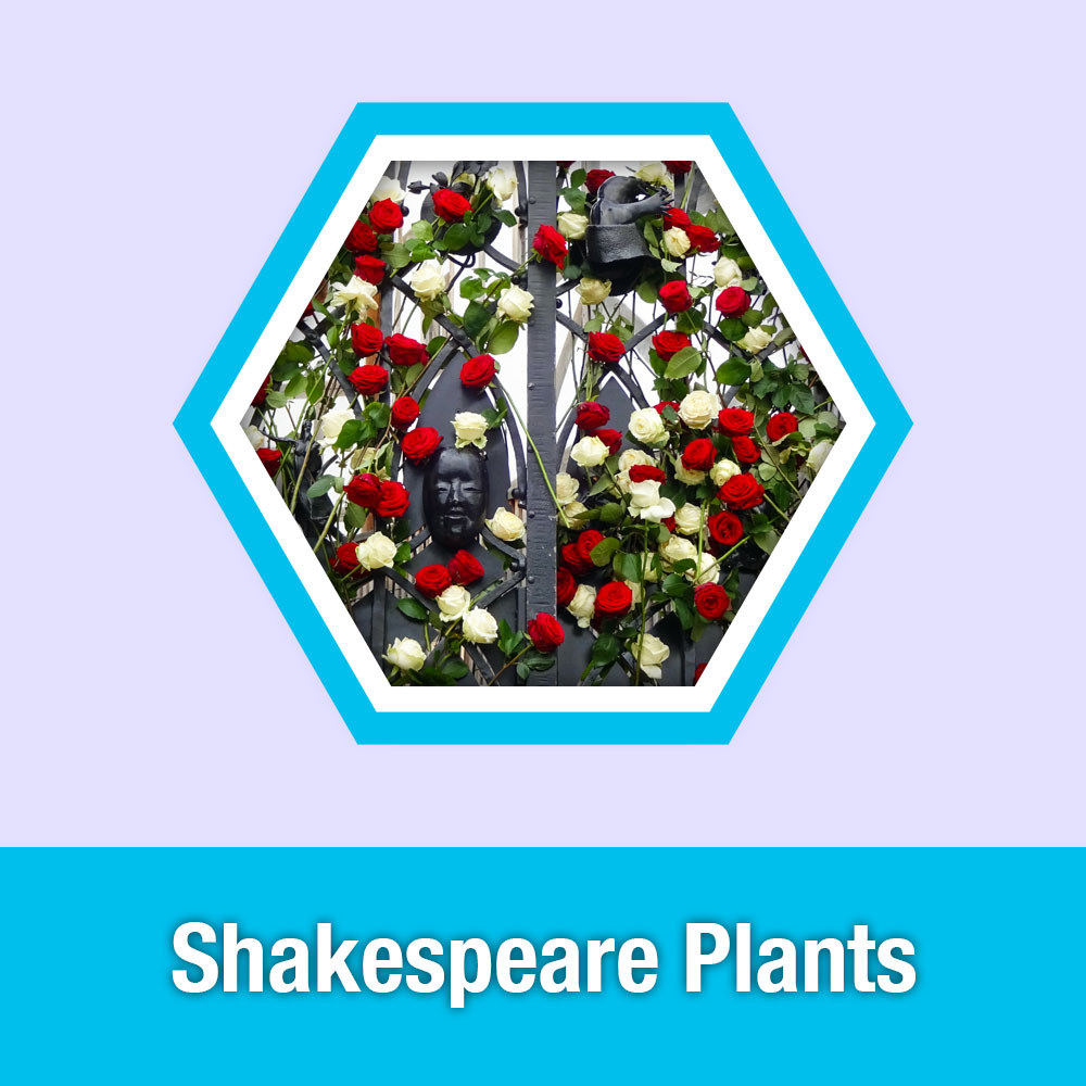 ETG Lesson 6: Shakespeare Plants